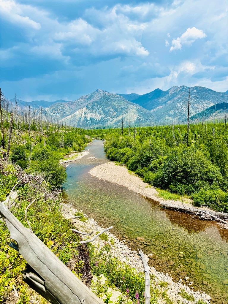 High alpine meadow landscape along the Chinese Wall pack trip route in Montana